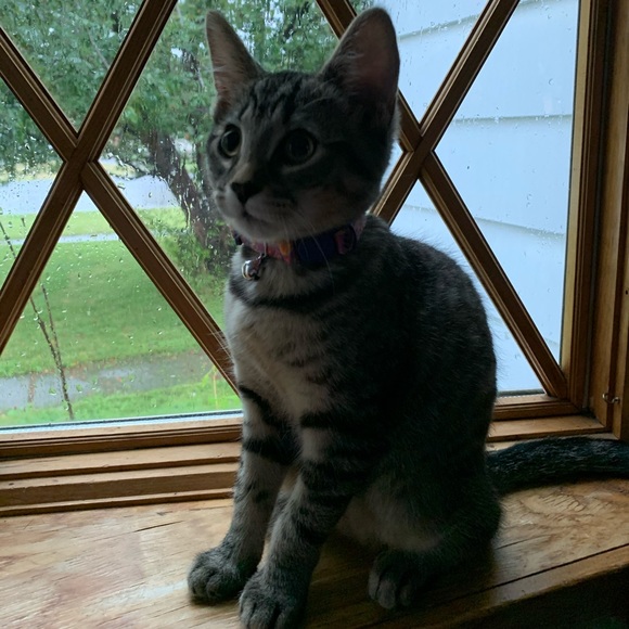 Meet your Posher, Hunny - Picture 10 of 11